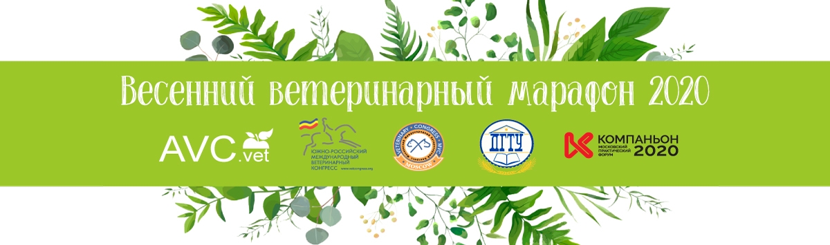 Весенний ветеринарный марафон 2020