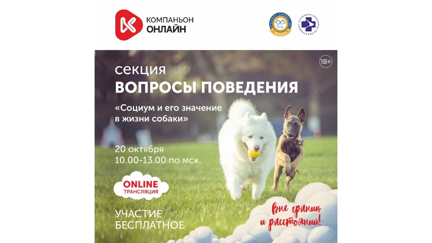 Вопросы поведения Компаньон 2025