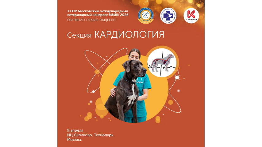 Кардиология ММВК2026