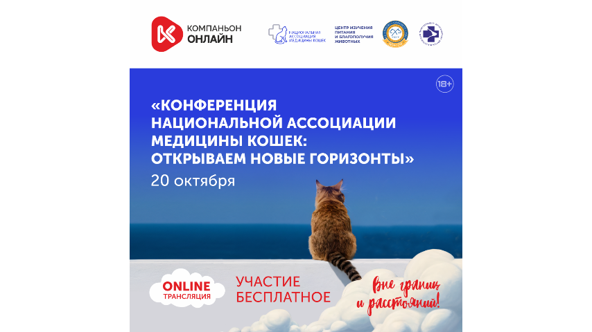 Медицина кошек: открываем новые горизонты