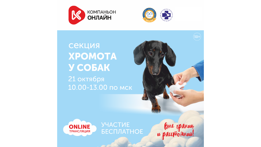 Хромота у собак Компаньон 2025