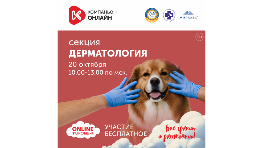 секция Дерматология Компаньон 2025