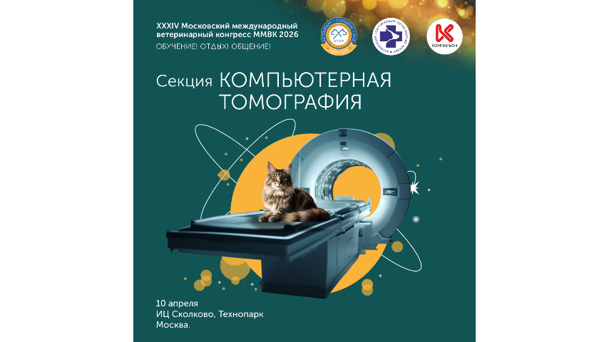 КТ в клинических случаях