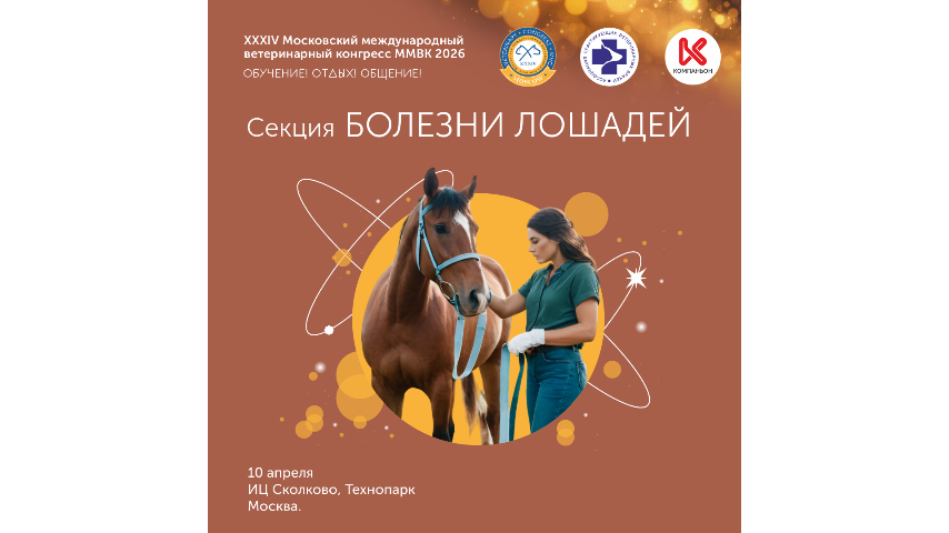 Медицина лошадей на ММВК 2026