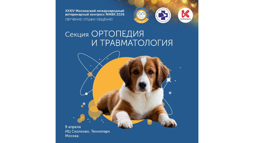 Обзор смешанных орто-неврологических патологий