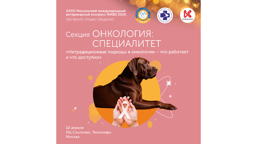 Нетрадиционные подходы в онкологии: что работает?