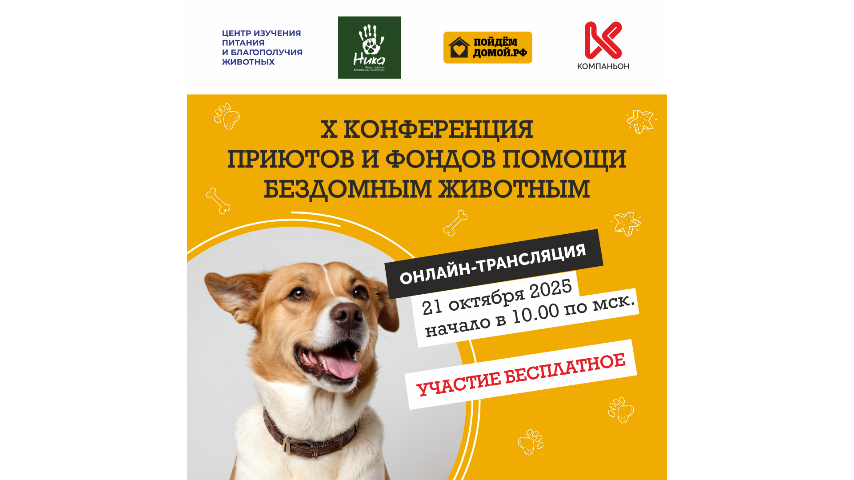 X Конференция приютов и фондов помощи бездомным животным