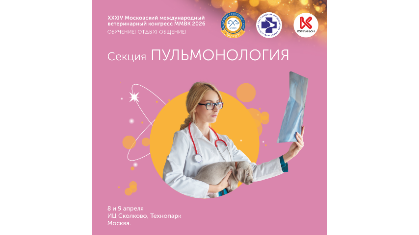 Как междисциплинарный подход помогает в лечении