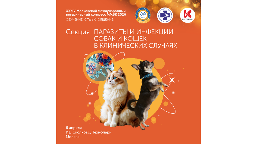 У вашего пациента анемия и вы не видите причину - тогда приходите к нам!