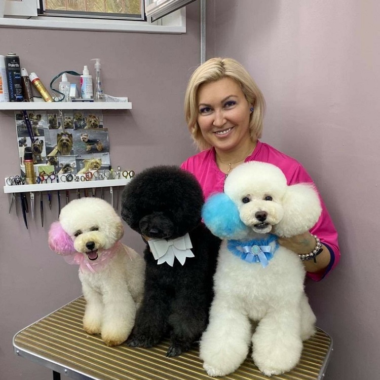 Грумер пушкино. Пушкино стрижка. Грумер пушкино. Грумер пушкино. Грумер пушкино.