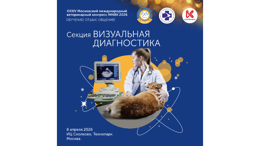 Ты снова в поиске?